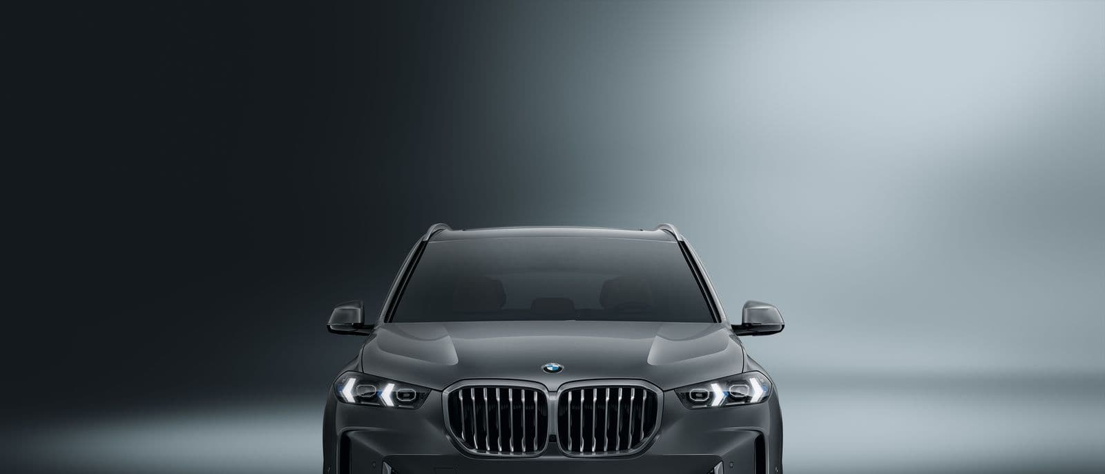 Premium car rental